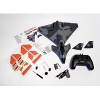 EasyFly Delta - RC-Flugzeug - RTF