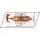 1810 PCS IMPERIUM ROMANUM /20071/ ROMAN WARSHIP