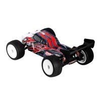 EMB-TG Brushless 4WD Mini Truggy 1/14  RTR