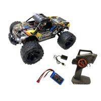 DF06 PRO Brushless 1:14 Truck mit Gyro DF Models 3148