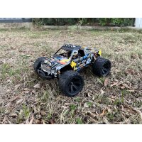 DF06 PRO Brushless 1:14 Truck mit Gyro DF Models 3148