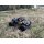 DF06 PRO Brushless 1:14 Truck mit Gyro DF Models 3148