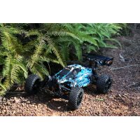 SpeedSlugger Buggy 1:10 RTR brushed DF Models 3196
