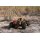 HotStrike Truck 1:10 RTR brushless DF Models 3198