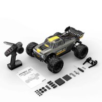 Hyper GO 10210 Truck 1/10 Brushless 4WD RTR Grau