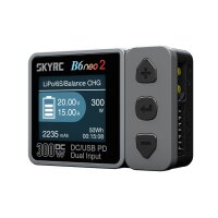 B6neo 2 DC Ladegerät grau LiPo 1-6S 15A 300W