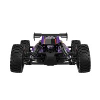 UDI R/C UD1204 GLEAM Pro 1/12 4WD Brushless Buggy Purple