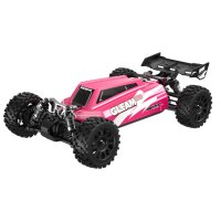 UDI R/C UD1204 GLEAM 1/12 4WD Brushless Buggy Pink