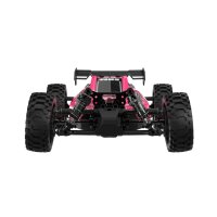 UDI R/C UD1204 GLEAM 1/12 4WD Brushless Buggy Pink