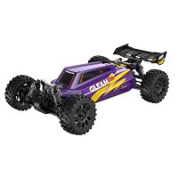 UDI R/C UD1204 GLEAM 1/12 4WD Brushless Buggy Purple