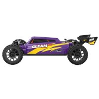 UDI R/C UD1204 GLEAM 1/12 4WD Brushless Buggy Purple