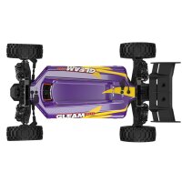 UDI R/C UD1204 GLEAM 1/12 4WD Brushless Buggy Purple