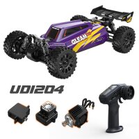 UDI R/C UD1204 GLEAM 1/12 4WD Brushless Buggy Purple
