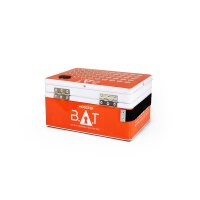 BAT Safe Lipo Tresor